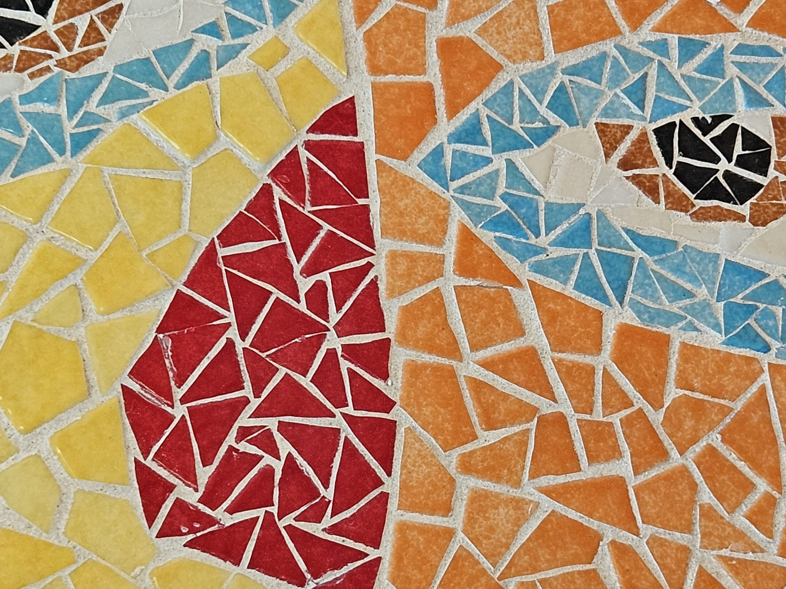 Découverte mosaïque – Image 5